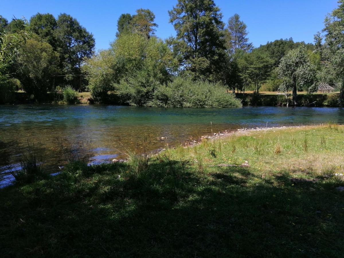 Cabanas Los Canelos Hermosa Granja En Pucón Екстериор снимка