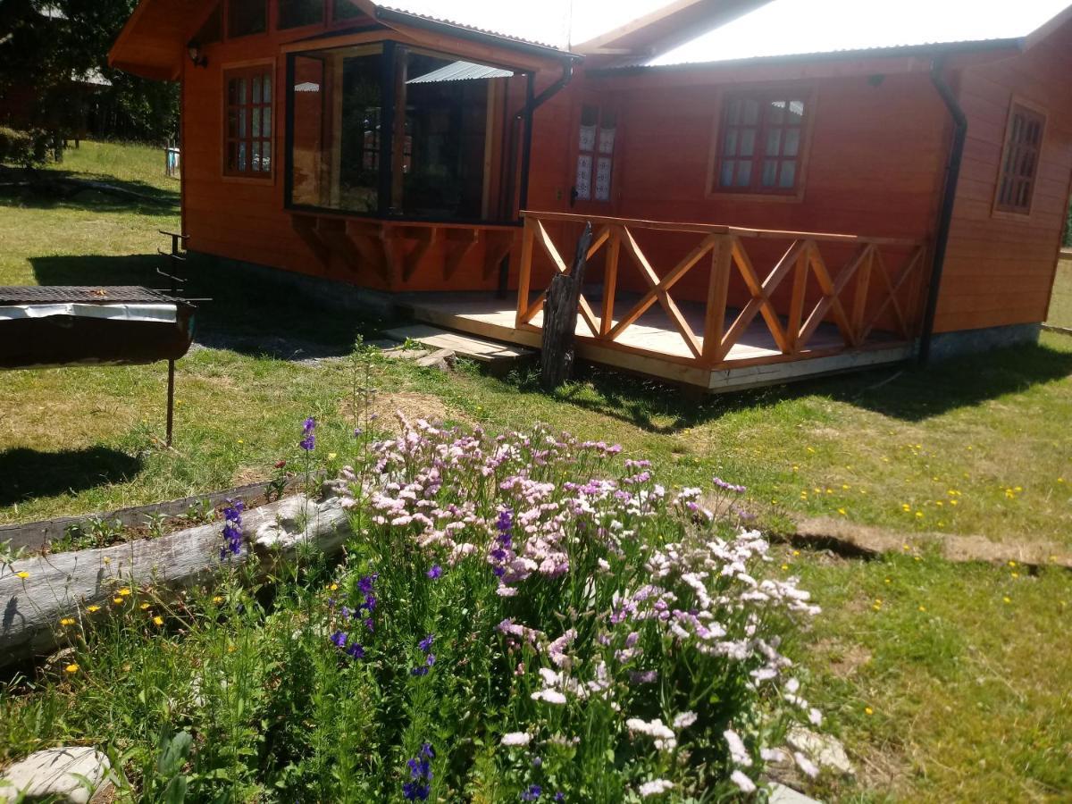 Cabanas Los Canelos Hermosa Granja En Pucón Екстериор снимка