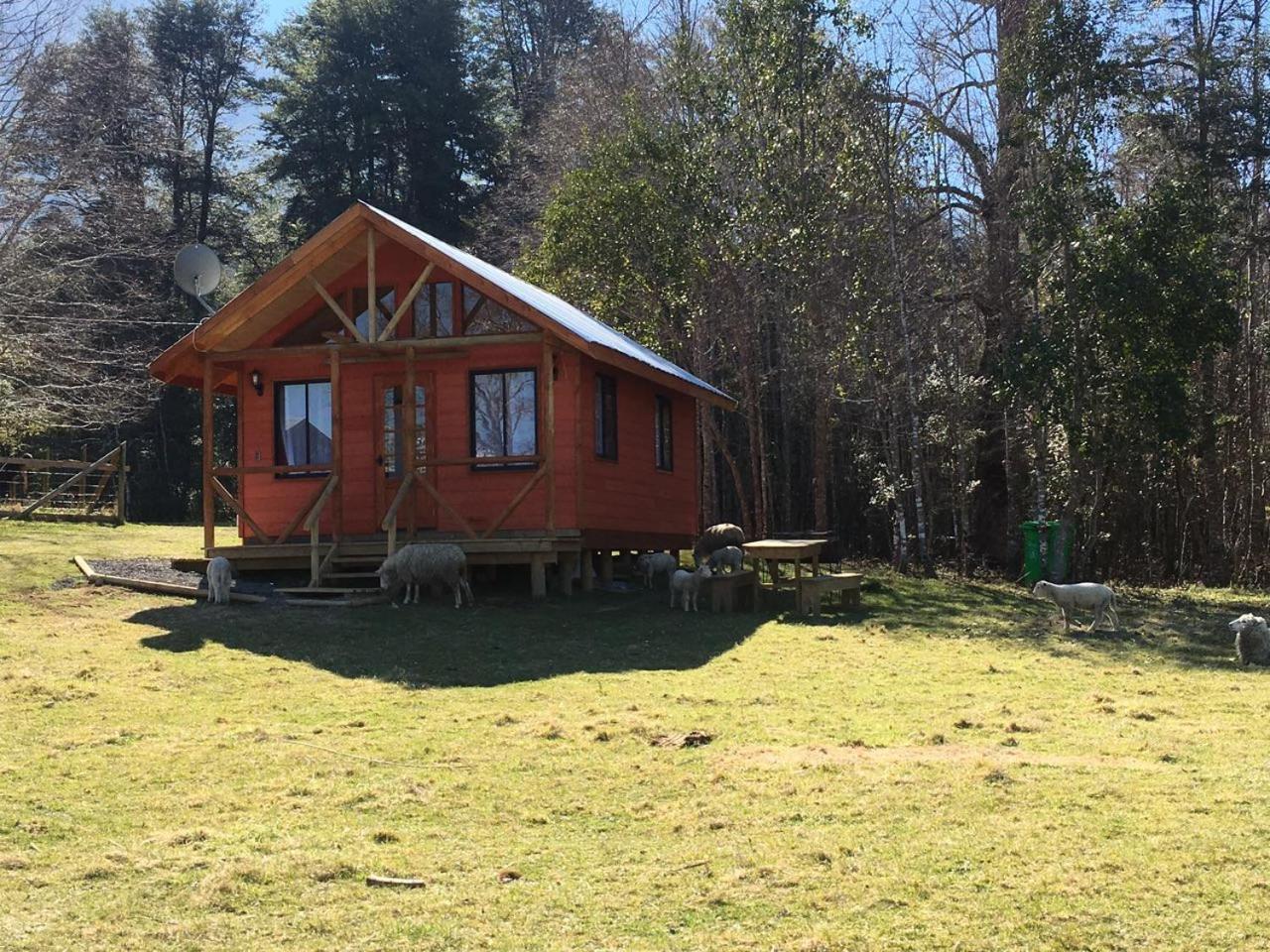 Cabanas Los Canelos Hermosa Granja En Pucón Екстериор снимка