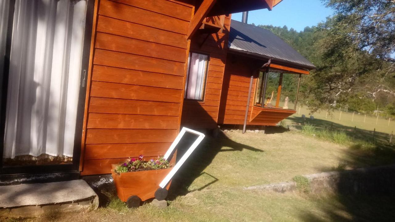 Cabanas Los Canelos Hermosa Granja En Pucón Екстериор снимка